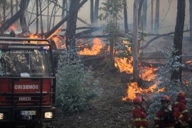 Πυροσβέστης που μάχεται με μια πυρκαγιά στην Cruzinha, Alvaiazere, Πορτογαλία
