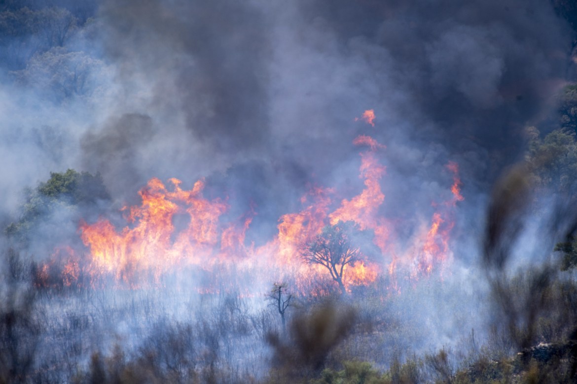 Smoke and flames rise from the forest fire in Monfrague National Park, in Caceres, Spain,