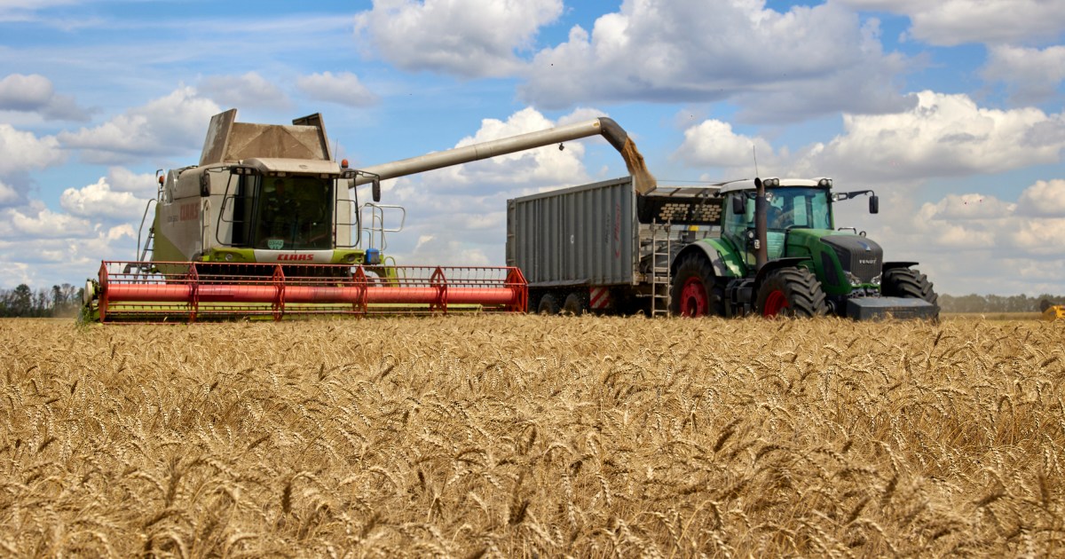 Туреччина каже, що Росія та Україна підпишуть угоду ООН про експорт зерна в п’ятницю |  Новини про війну між Росією та Україною