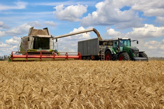 Grain Ukriane