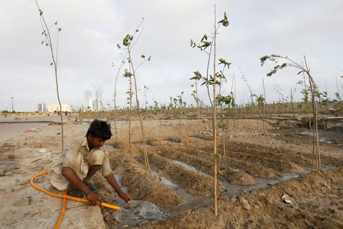 Prakash, 19, waters plants at the Clifton Urban Forest