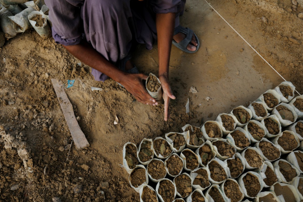 A worker prepares planting bags for seedling plants
