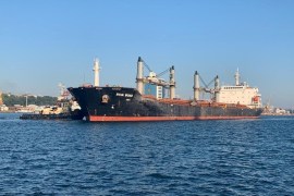 The Marshall Islands-flagged bulk carrier Riva Wind at the sea port in Odesa, Ukraine.