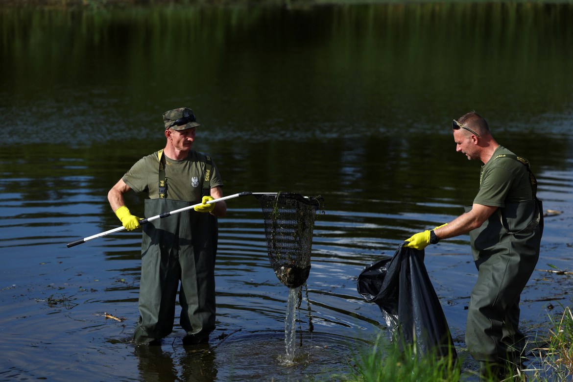 Members of the Polish Armed Forces remove a dead fish