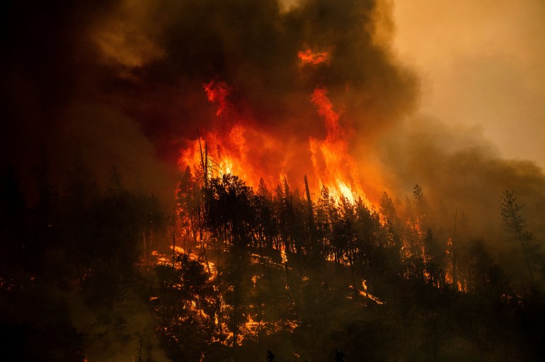 Flames from the McKinney Fire burn through trees along California State Route 96 in the Klamath . National Forest