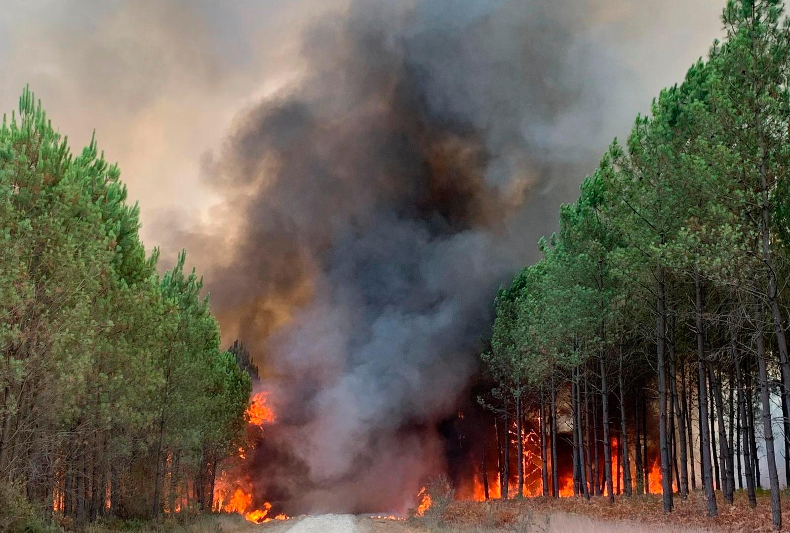 Hundreds evacuated from France’s Gironde as wooded area fires rage | Surroundings Information