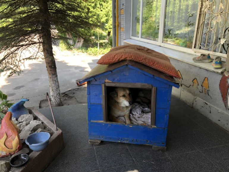 A photo of a dog in a blue dog house outside of a building.
