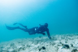 Pearl Diving in Qatar