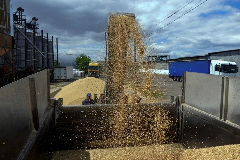 A worker loads a truck with grain at a terminal while harvesting barley in Odessa
