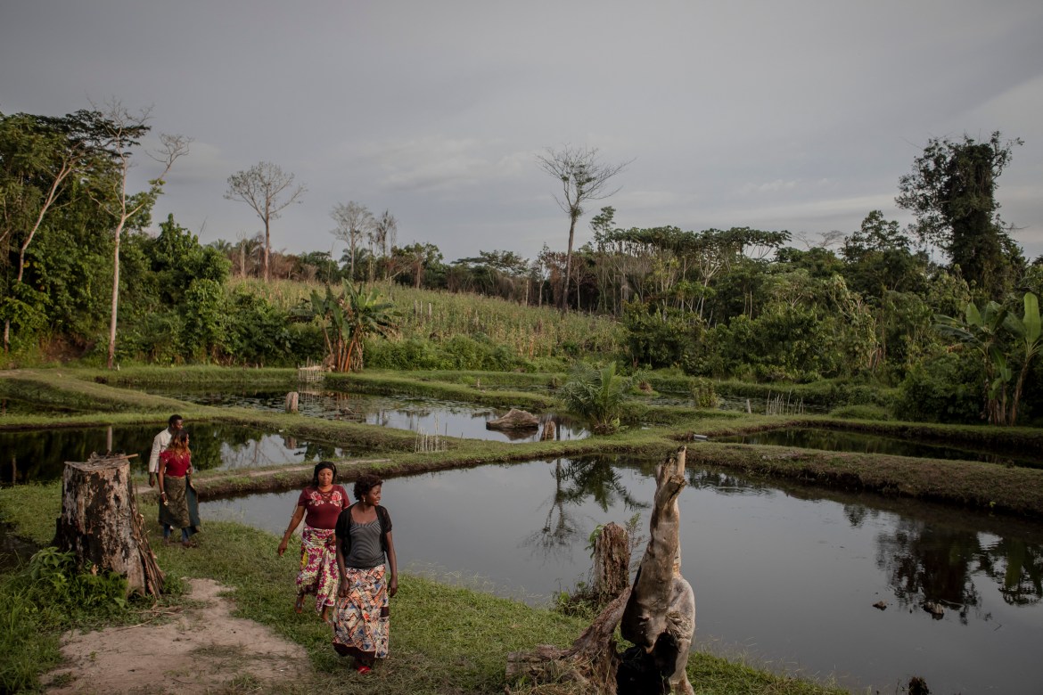 Photos: Scientists fight to protect DR Congo rainforest