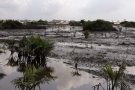 An oil slick polluting a farmland is seen in Ibeno village in Nigeria's Akwa Ibom State
