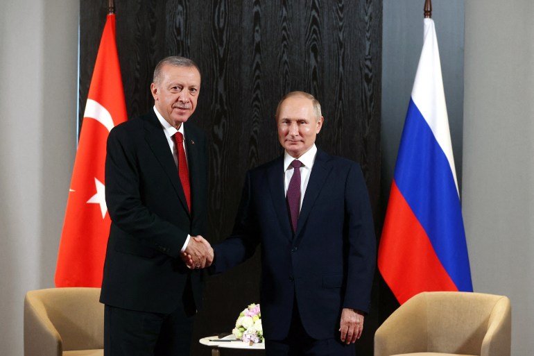 Russian President Vladimir Putin and Turkish President Tayyip Erdogan shake hands