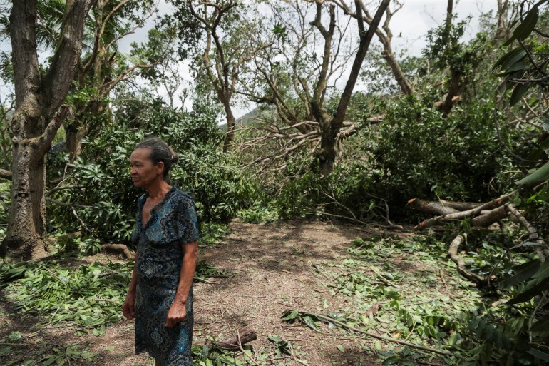 A woman looks at damaged trees in aftermath of Hurricane Fiona in Dominican Republic