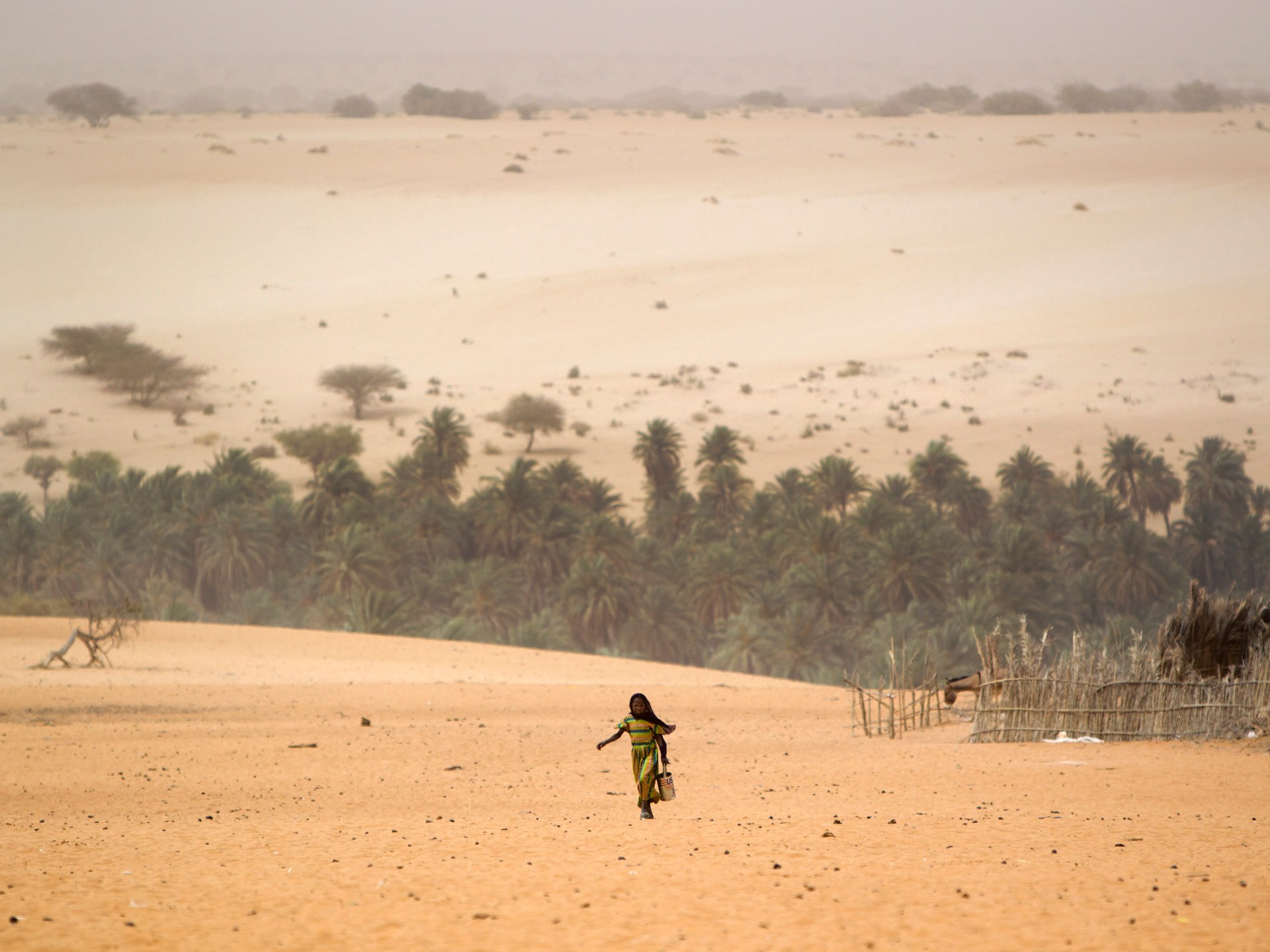 Our bodies of 27 migrants, together with kids, present in Chad desert