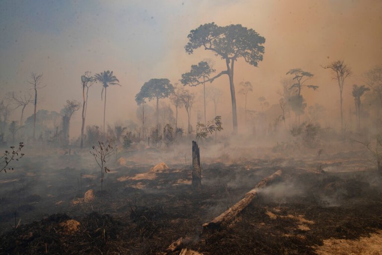 An area of the Amazon scorched by fire