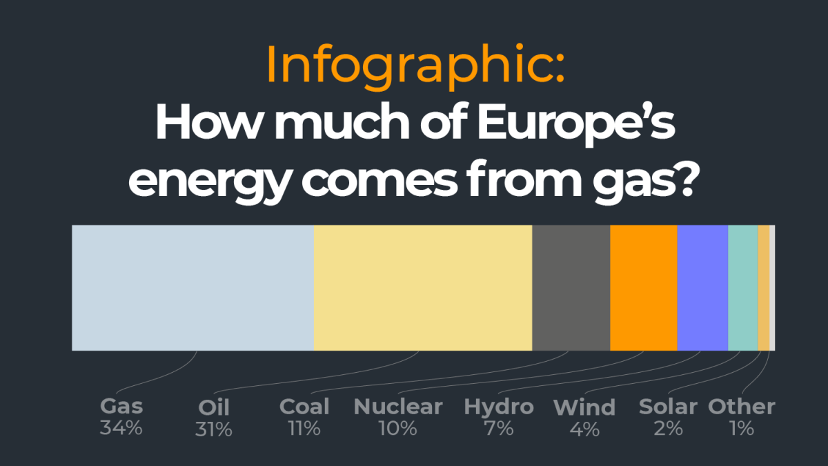 Infographic: How a lot of Europe’s vitality comes from gasoline? | Russia-Ukraine struggle News
