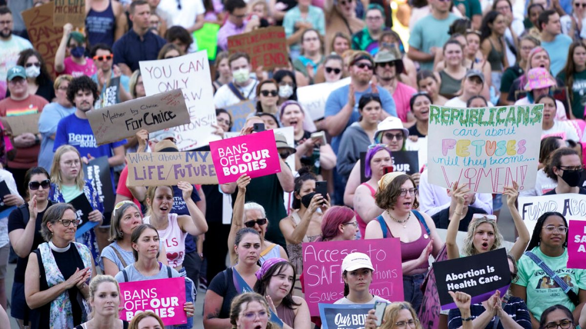 Michigan voters to resolve way forward for abortion in US state | Women’s Rights News
