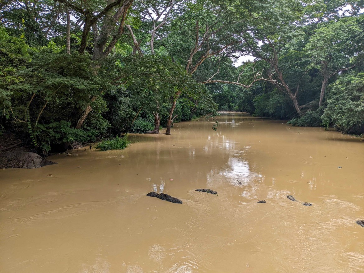 The pollution of Nigeria's sacred Osun river [Eromo Egbejule/Al Jazeera]