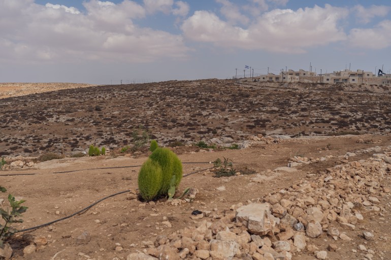 İsrail yerleşimine yakın Filistin çiftliği