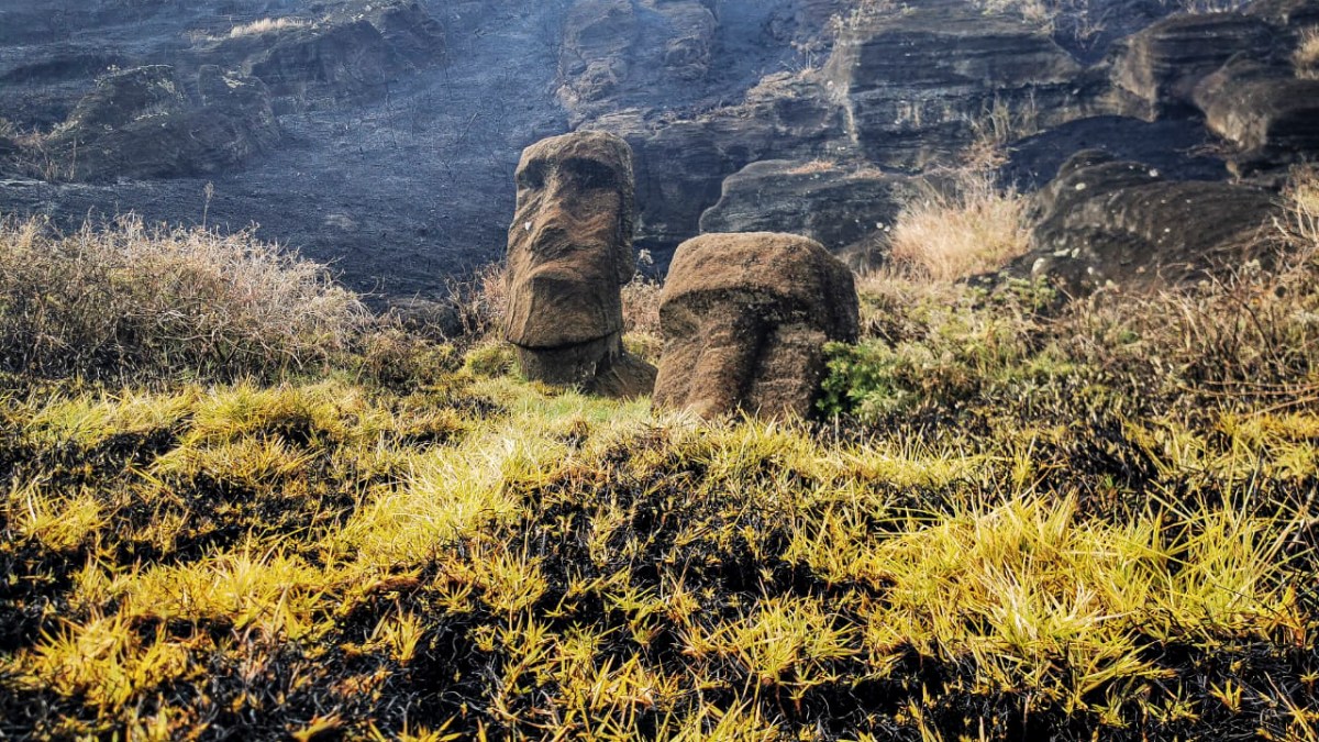 Los incendios forestales en la Isla de Pascua de Chile dañan el famoso moai |  noticias