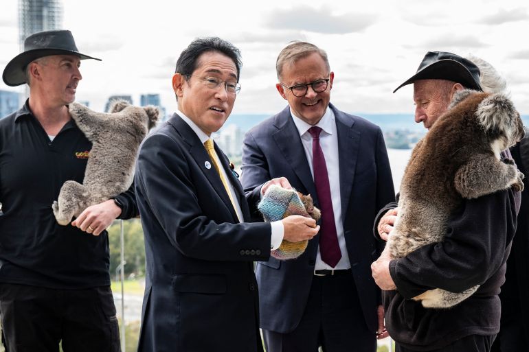 Japan's Prime Minister Fumio Kishida (centre left) and Australian Prime Minister Anthony Albanese (centre right) pose with a baby wallaby and koalas during their visit to Kings Park in Perth on October 22, 2022 [Tony McDonough/ Pool/ AFP]