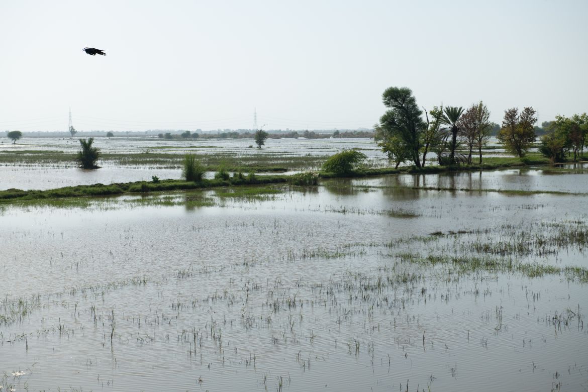 “Gone are the days when our kids used to run freely in these fields,” said Kasim. The surrounding area is still inundated. It could take months before the water completely disappears