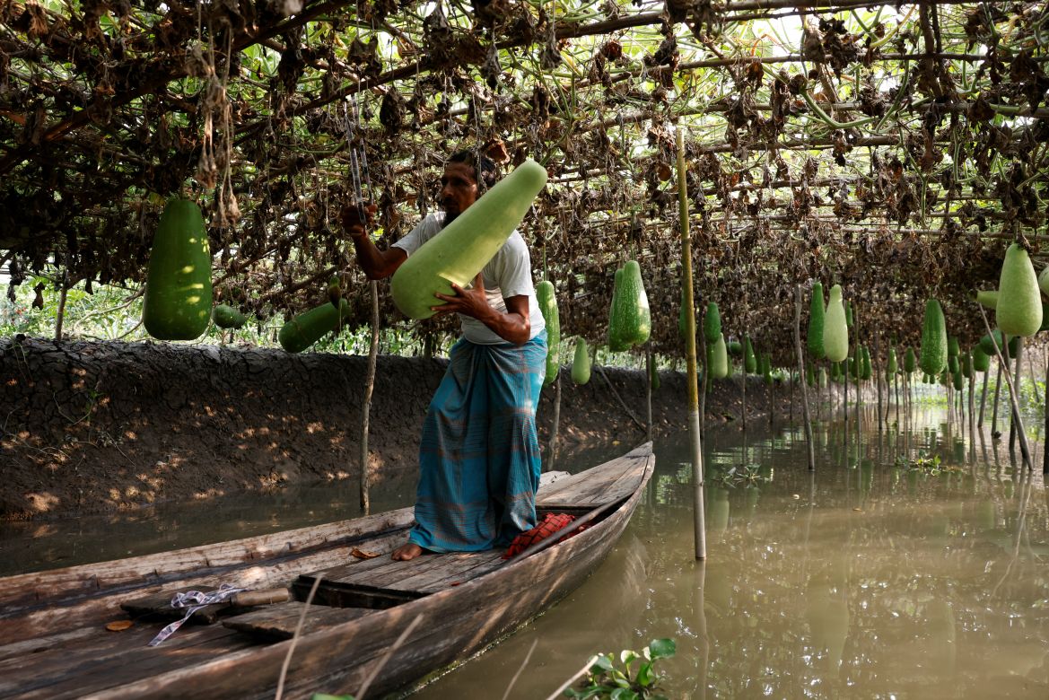 Bangladesh floating farms