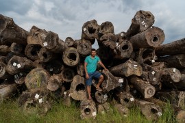 Luiz Gomes, sawmill owner. He hopes Bolsonaro is re-elected and helps bring the local timber trade back to life