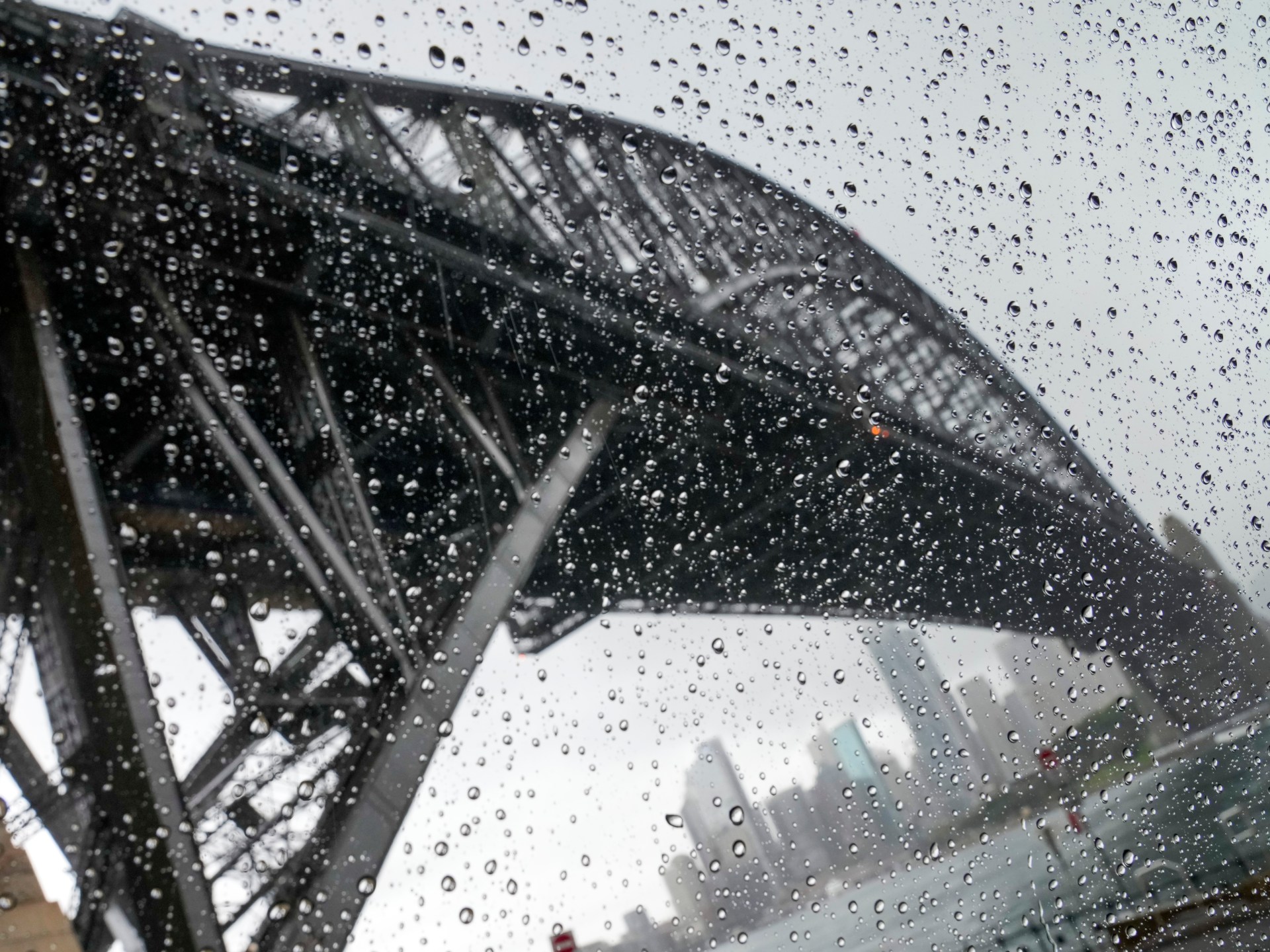Sydney records wettest year since records began in 1858
