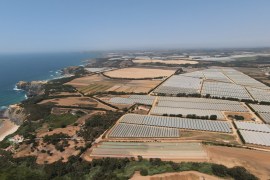 Greenhouses by the coast in Alentejo