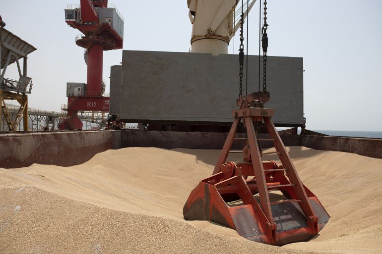 A UN-chartered ship loaded with 23,000 tonnes of Ukrainian wheat destined for millions of hungry people in Ethiopia arrived in neighbouring Djibouti