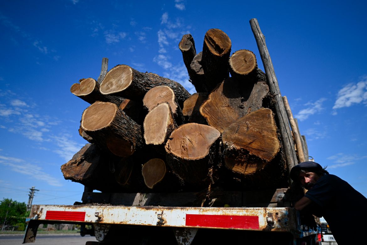 A worker leans on a truck loaded with wood logs in Machagai, Chaco province, Argentina.