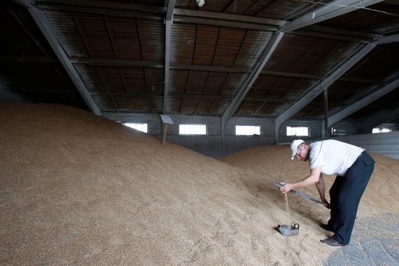 A worker at a Ukrainian grain storage facility