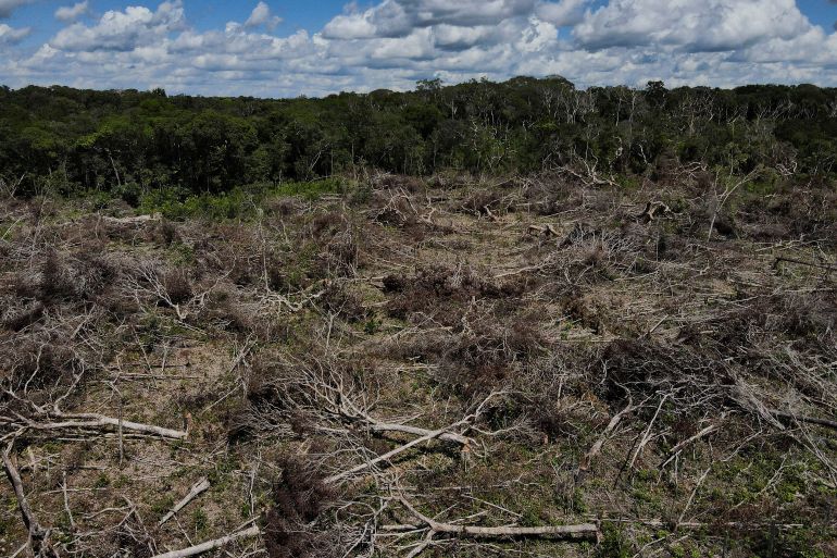 An aerial view shows a deforested plot in Brazil's Amazon region