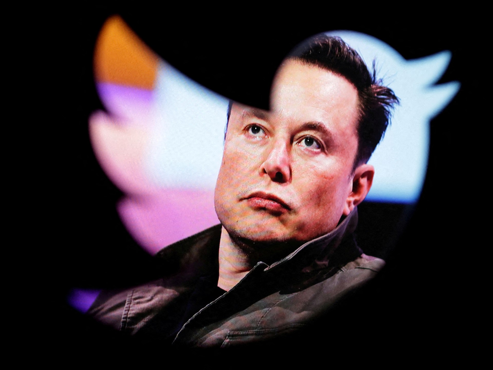 أطلق Elon Musk لوحة Twitter وجعل نفسه المدير الوحيد  الأعمال والاقتصاد