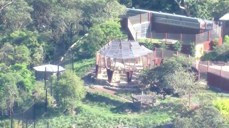 Aerial view of the lions' enclosure