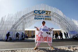 An activist holds a banner, as she demonstrates at the entrance of the Sharm El Sheikh International Convention Centre, during the COP27 climate summit opening, in Sharm el-Sheikh, Egypt, November 7, 2022