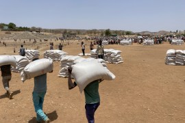 Sacks of wheat distributed in Ethiopia's Tigray region