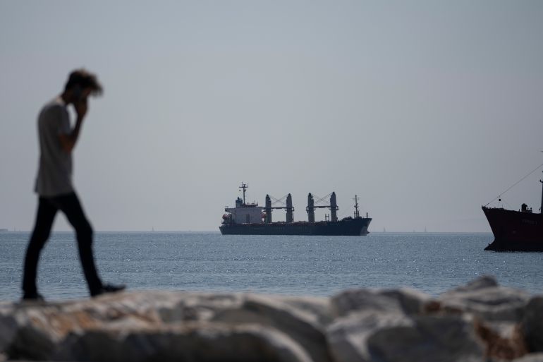 The Panama-flagged cargo ship Lady Zehma anchors in the Marmara Sea in Istanbul,