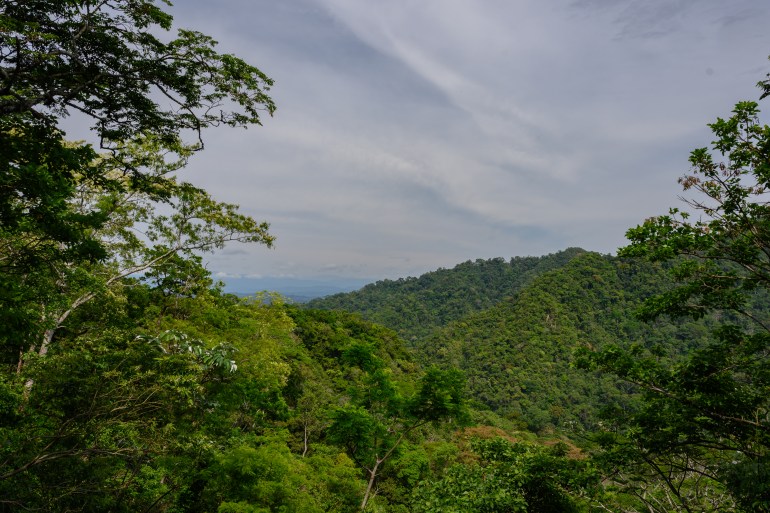A view over the canopy at Bolivia's Madidi National Park