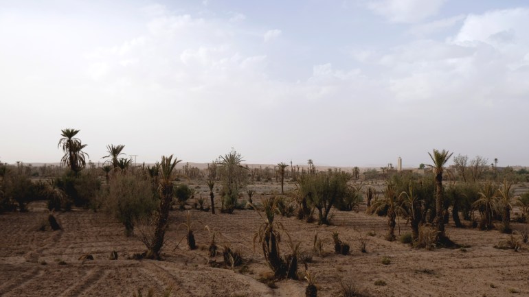 ‘Preserving oases’: The fight for water by Morocco farmers | Climate Crisis News