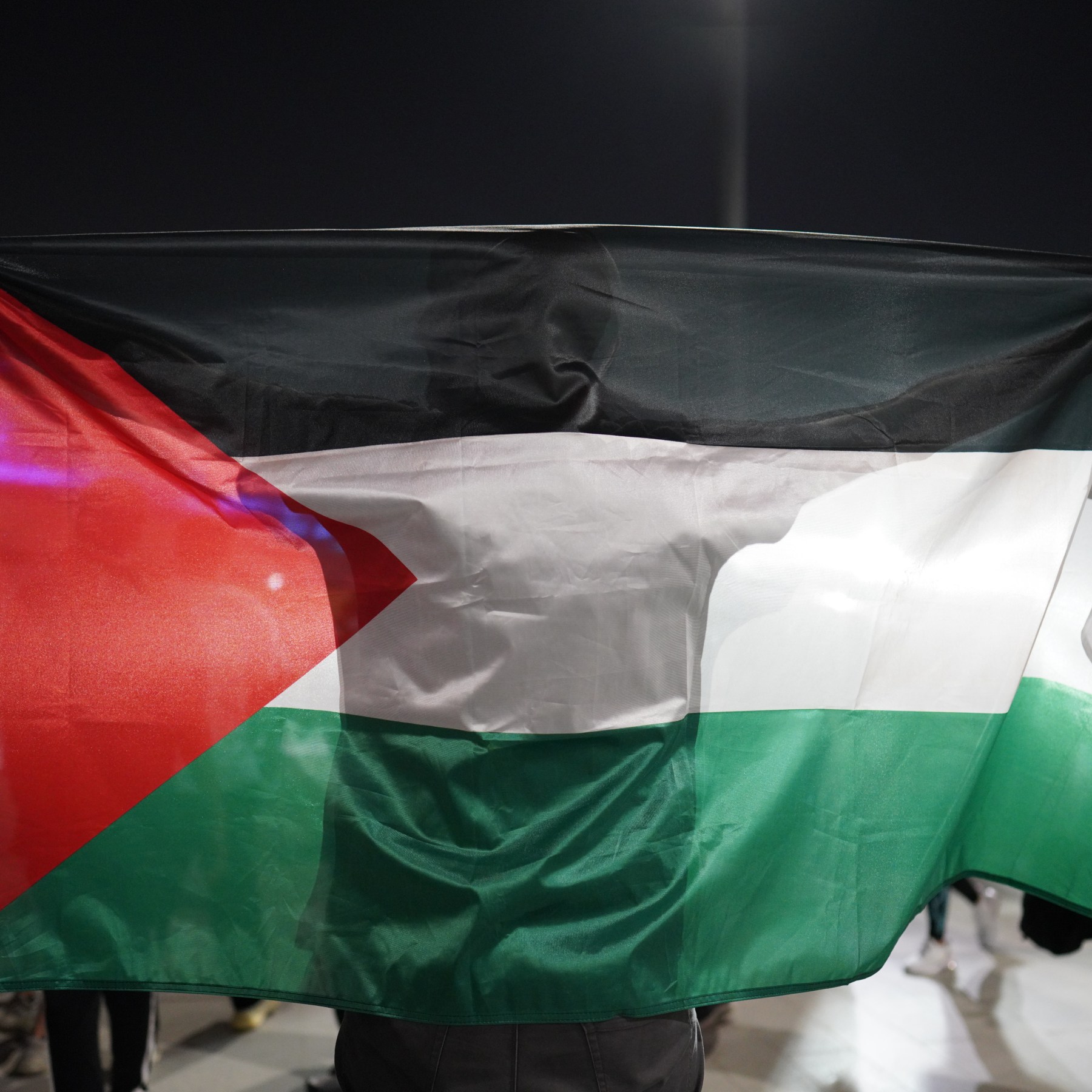 Photos: Palestinian flags fly high at the World Cup in Qatar
