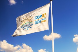 COP27 flag