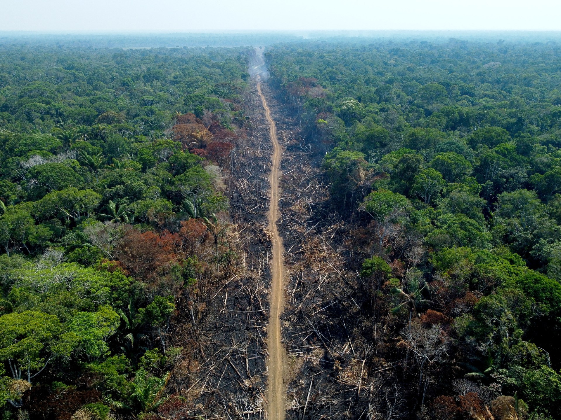 Desmatamento da Amazônia brasileira aumentou 150% no último mês de Bolsonaro |  notícias ambientais
