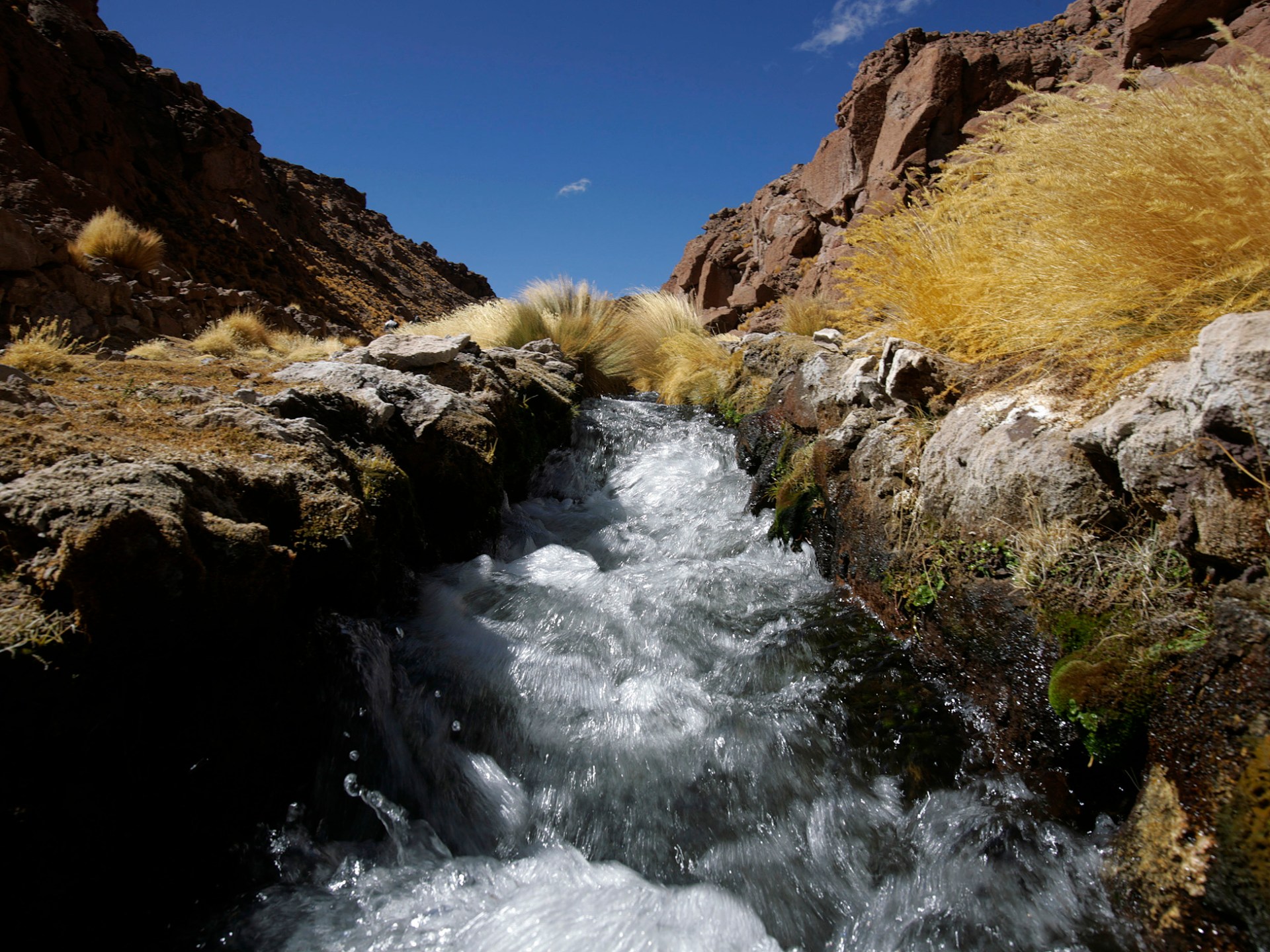 La CIJ se niega a emitir una decisión sobre la disputa del río Chile-Bolivia |  Noticias de agua