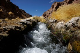 Water runs in one of the springs in the Silala River, about 800km (497 miles) south of La Paz, Bolivia, on September 2, 2009 [File: David Mercado/Reuters]
