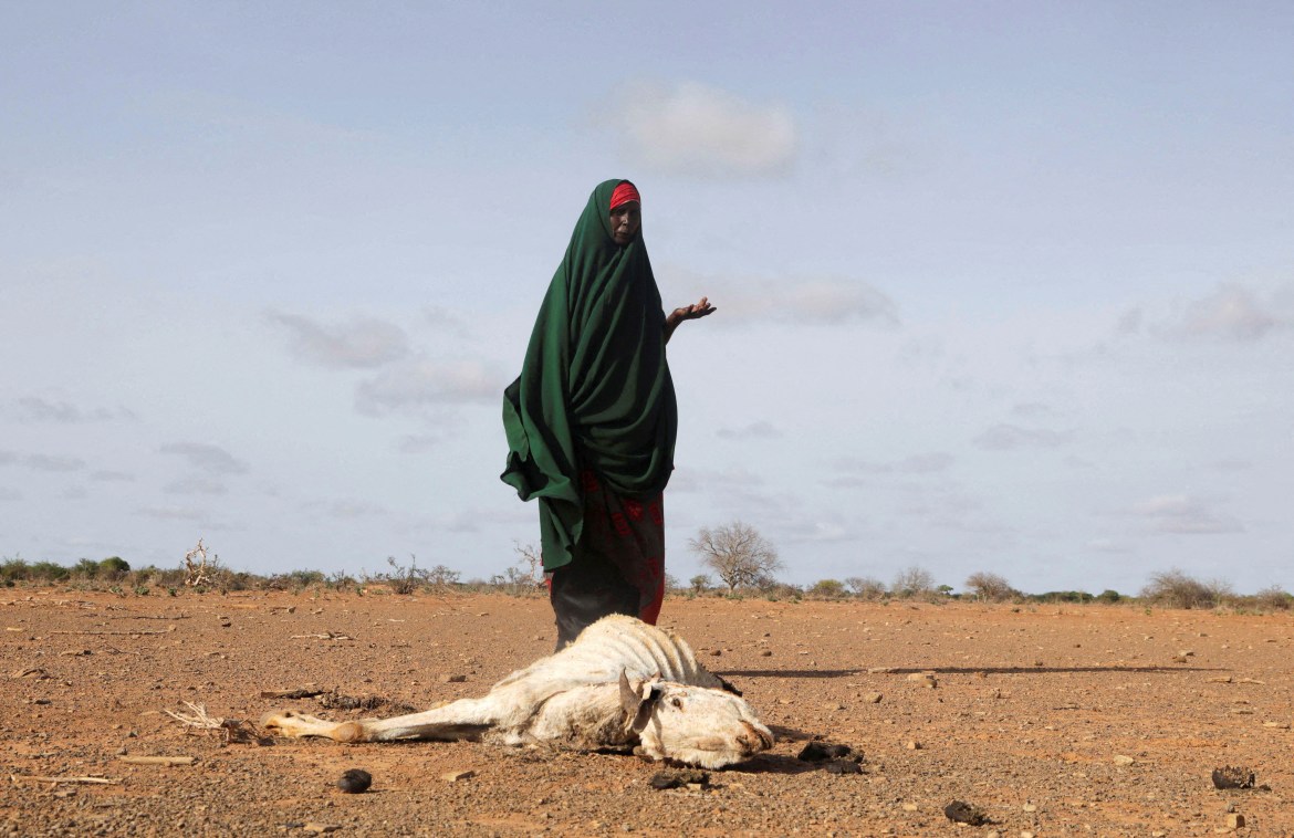 A Somali woman stands near the carcass of her dead livestock