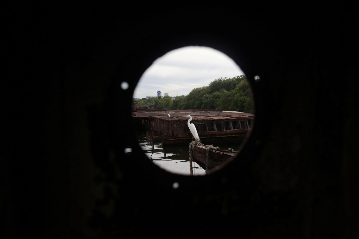 A bird is seen through the window of an abandoned ship