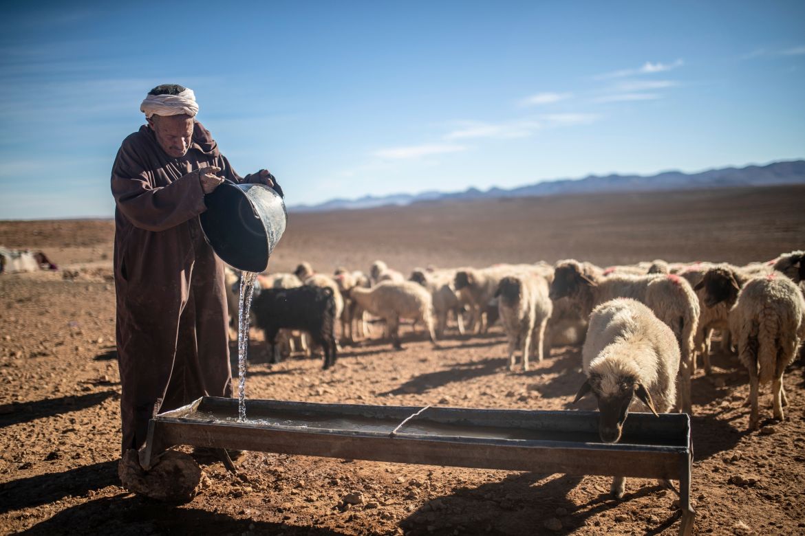 Hammou Ben Ady, a nomad, pours water for his sheep
