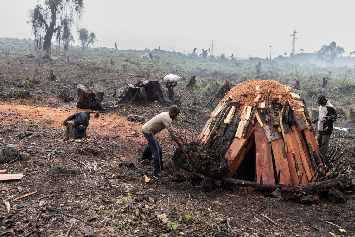 DR Congo deforestation